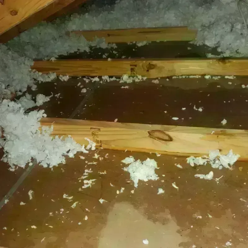 Attic Water Damage in City of Saint Louis, MO