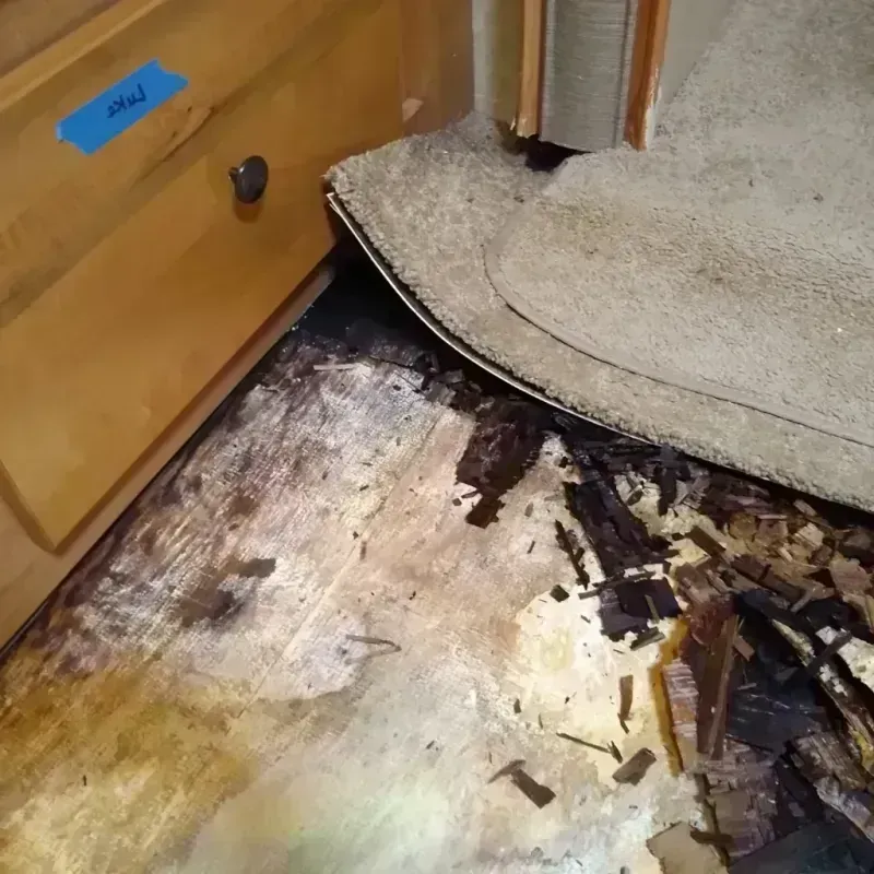 Wood Floor Water Damage in City of Saint Louis, MO